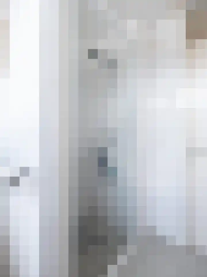 Goudenstein 71 Barneveld thumbnail 25