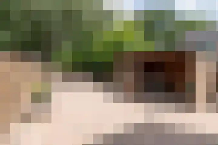 Goudenstein 71 Barneveld thumbnail 32