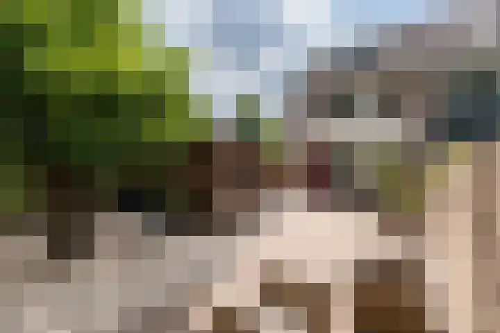 Goudenstein 71 Barneveld thumbnail 33