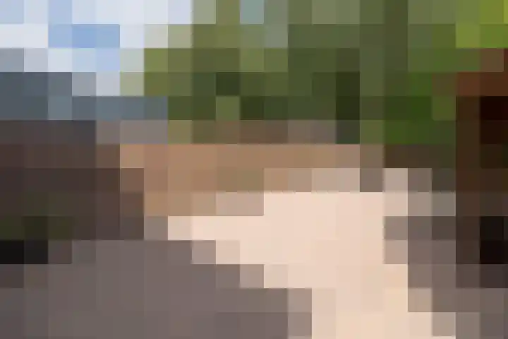 Goudenstein 71 Barneveld thumbnail 36