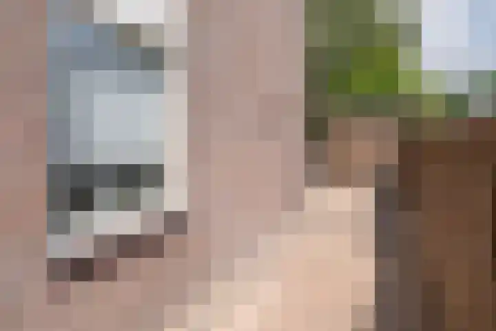 Goudenstein 71 Barneveld thumbnail 37