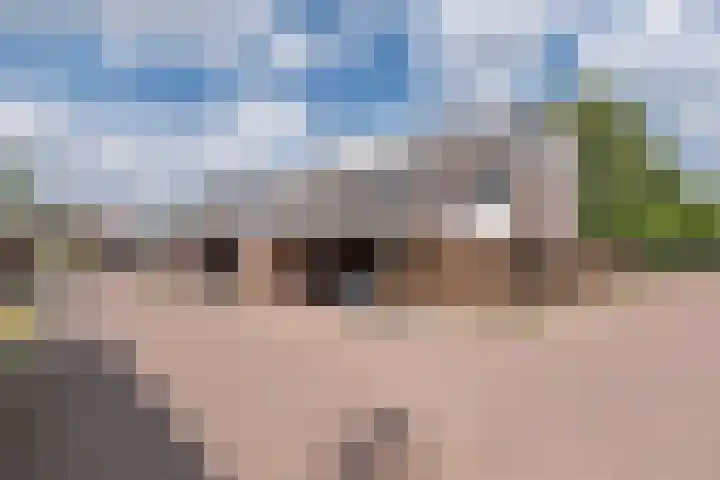Goudenstein 71 Barneveld thumbnail 42