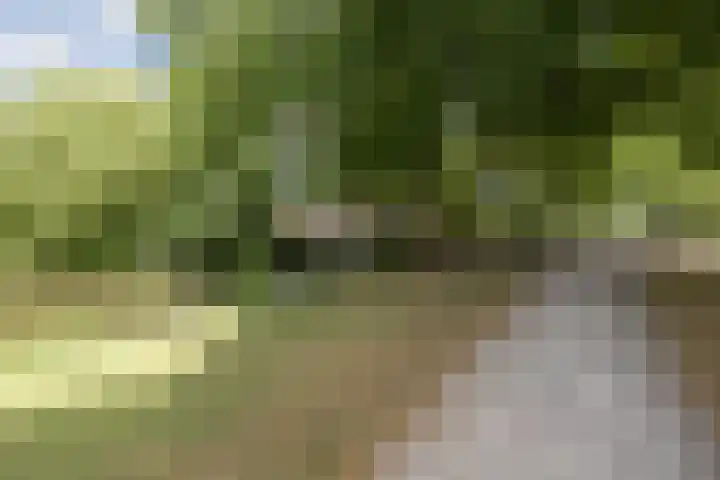 Goudenstein 71 Barneveld thumbnail 45