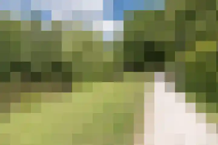 Goudenstein 71 Barneveld thumbnail 46