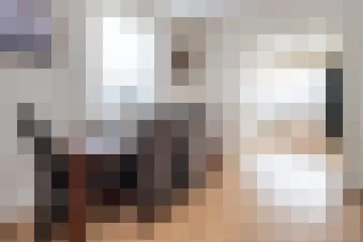 Goudenstein 71 Barneveld thumbnail 7