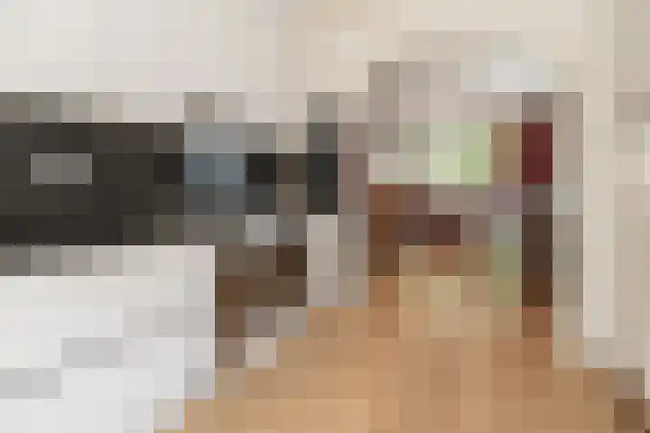 Goudenstein 71 Barneveld thumbnail 9