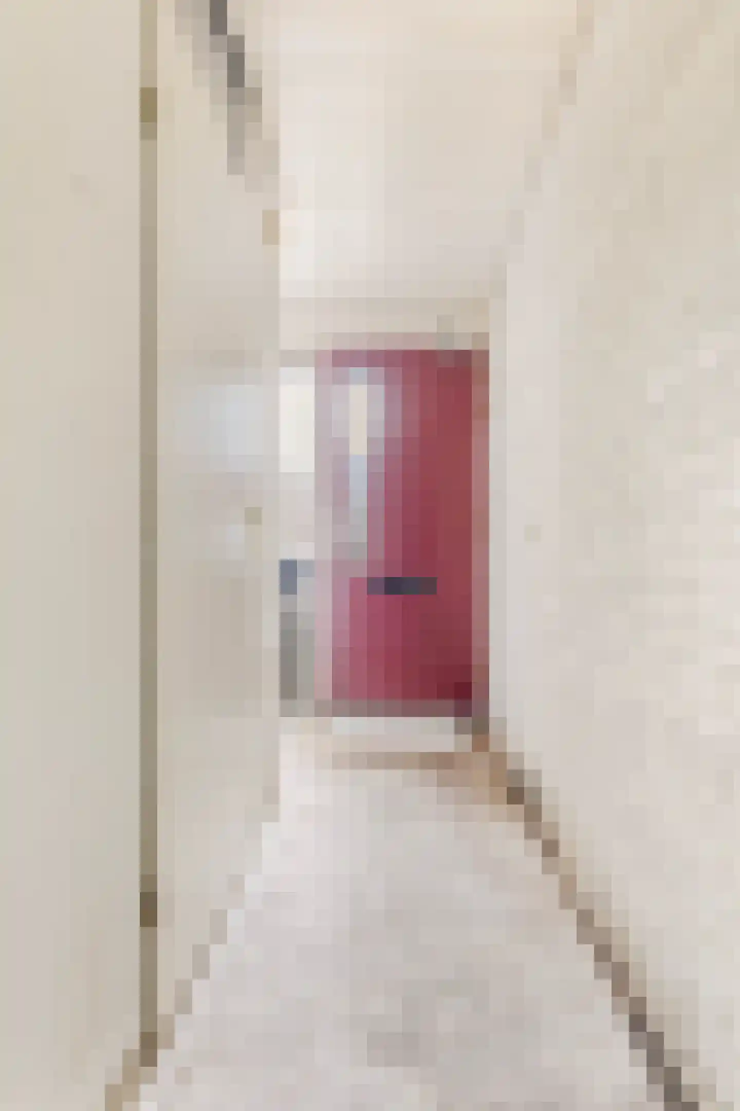 Goudenstein 9 Barneveld thumbnail 16