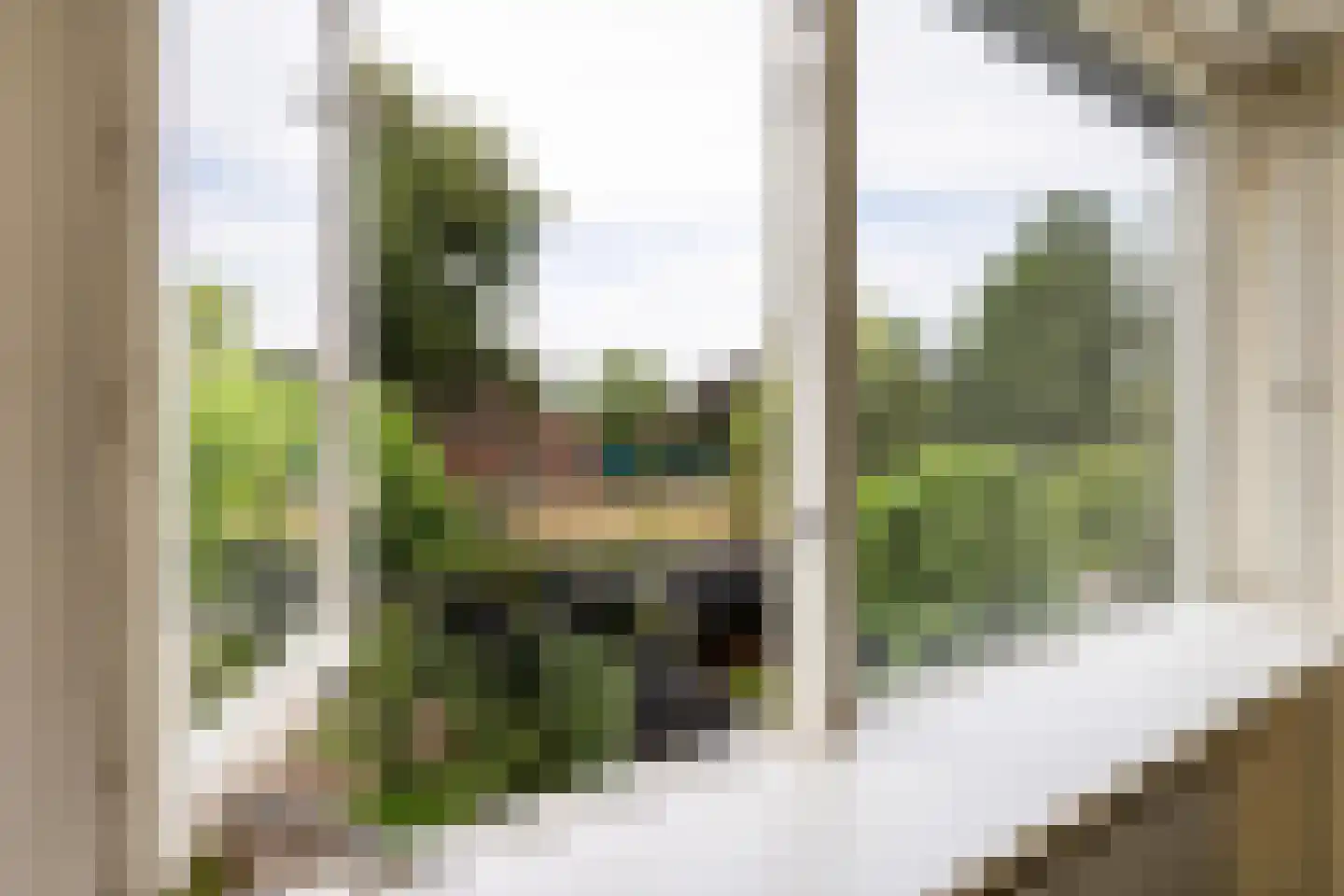 Goudenstein 9 Barneveld thumbnail 21