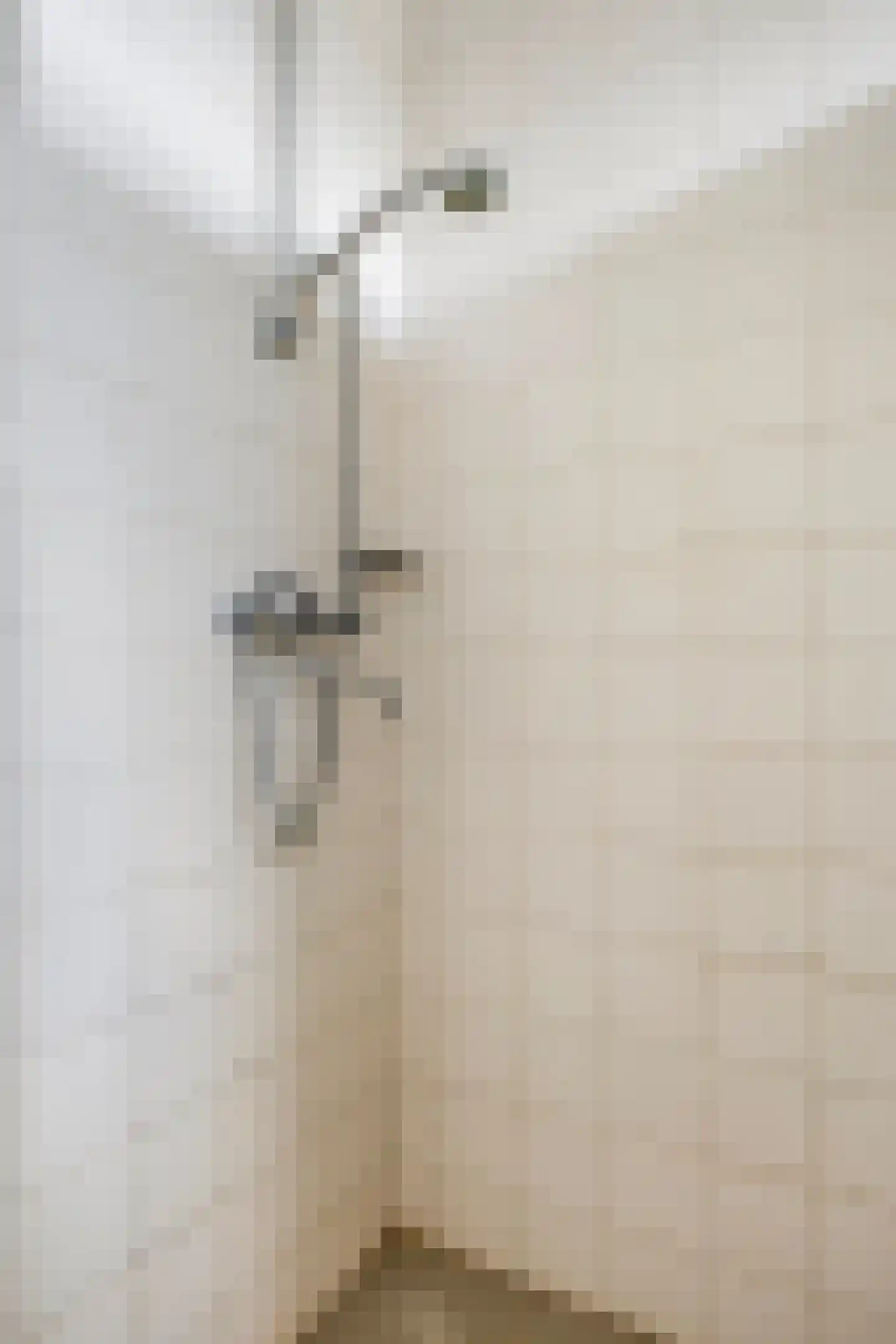 Goudenstein 9 Barneveld thumbnail 29