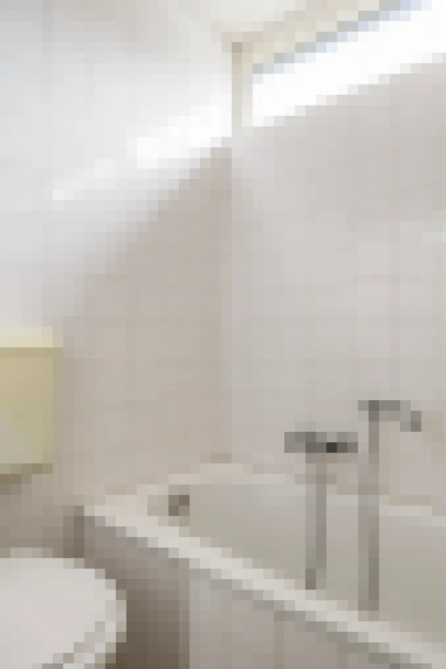 Goudenstein 9 Barneveld thumbnail 30