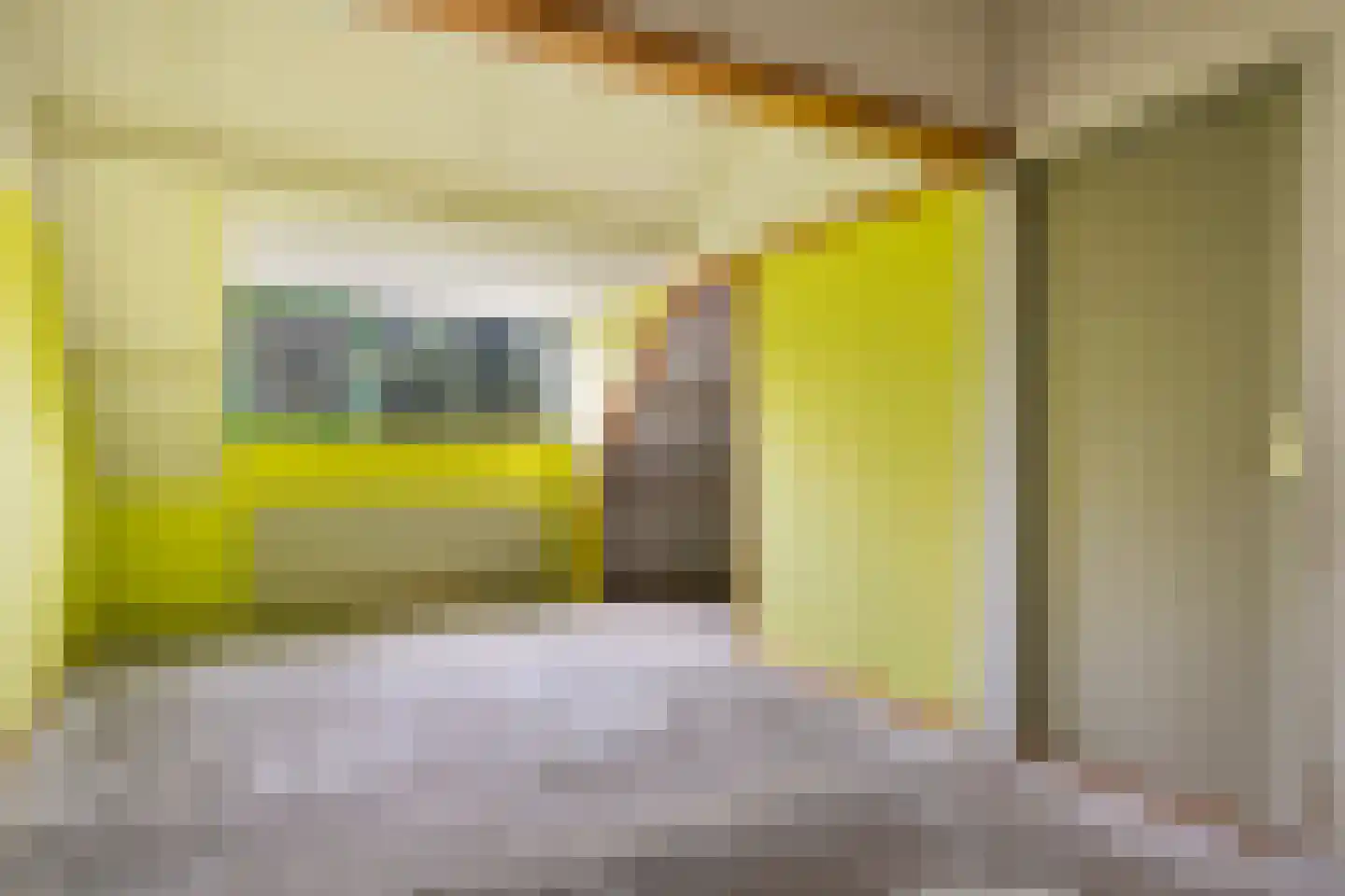 Goudenstein 9 Barneveld thumbnail 35