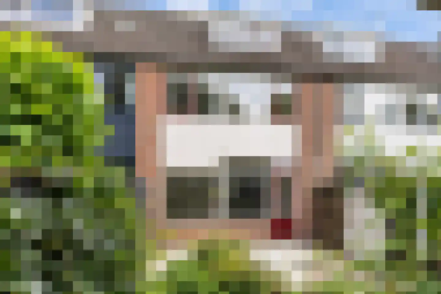 Goudenstein 9 Barneveld thumbnail 36