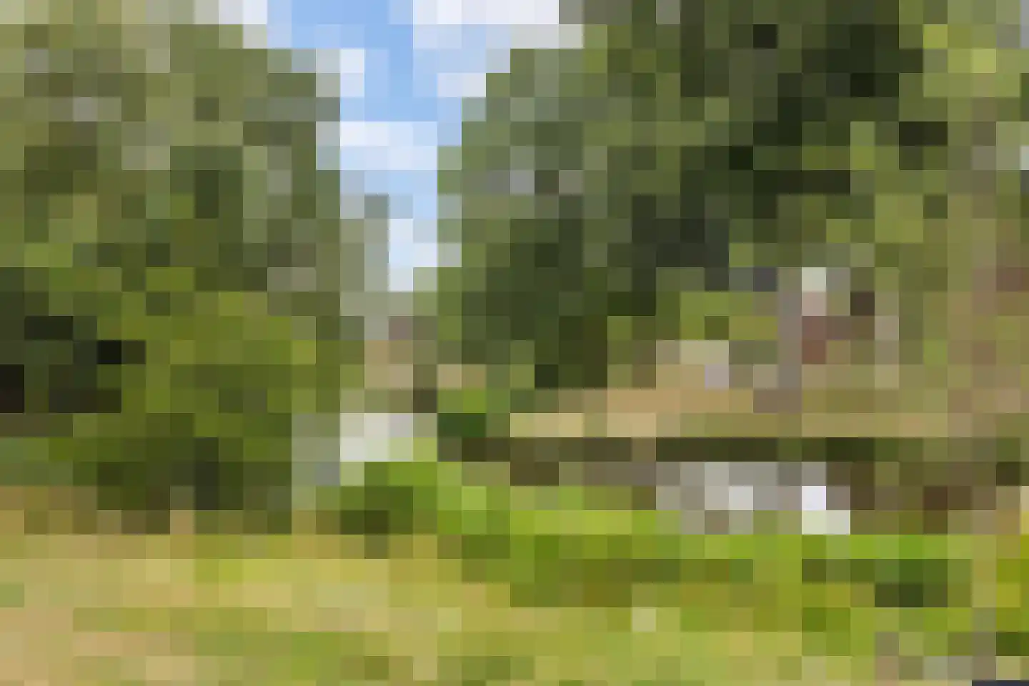 Goudenstein 9 Barneveld thumbnail 40