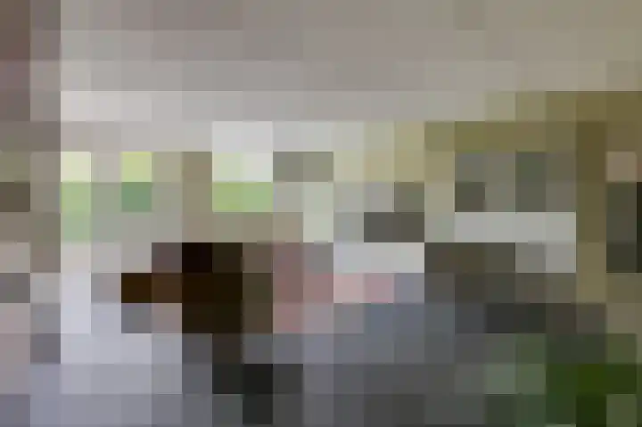 Goudensteinallee 1 Duiven thumbnail 12