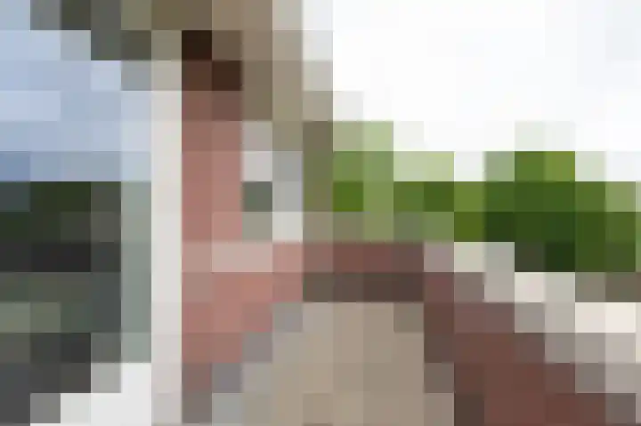 Goudensteinallee 1 Duiven thumbnail 31
