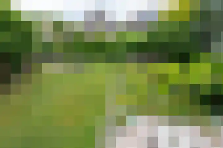 Goudensteinallee 1 Duiven thumbnail 32