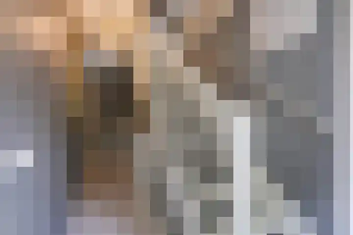 Goudensteinallee 1 Duiven thumbnail 43