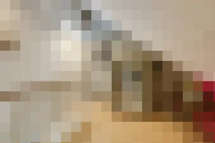 Goudensteinallee 1 Duiven thumbnail 44