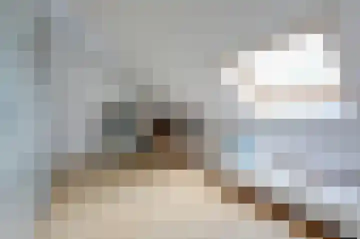 Goudensteinallee 1 Duiven thumbnail 48