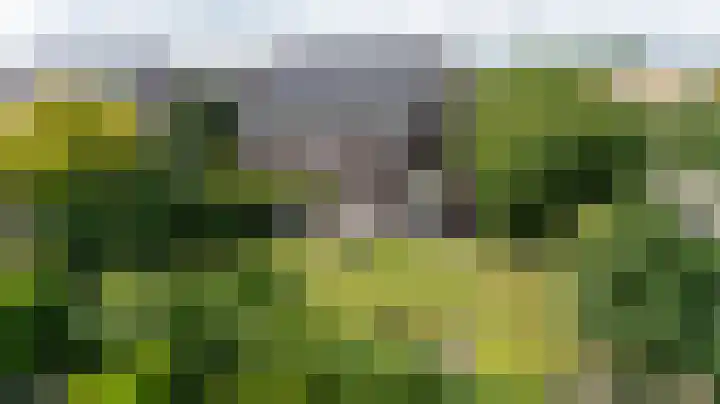 Goudensteinallee 1 Duiven thumbnail 50