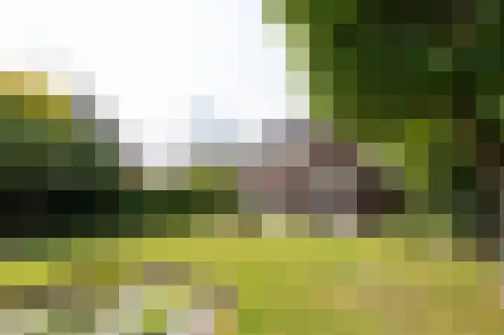 Goudensteinallee 1 Duiven thumbnail 51