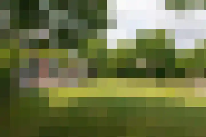 Goudensteinallee 1 Duiven thumbnail 57