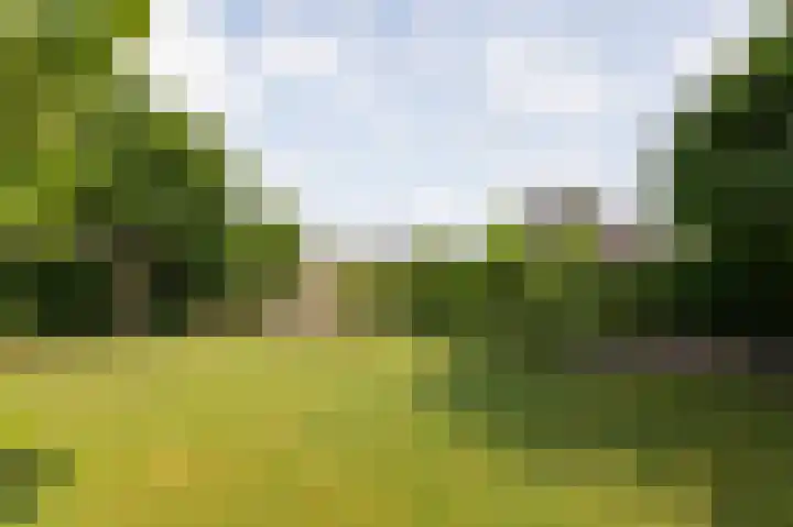 Goudensteinallee 1 Duiven thumbnail 59