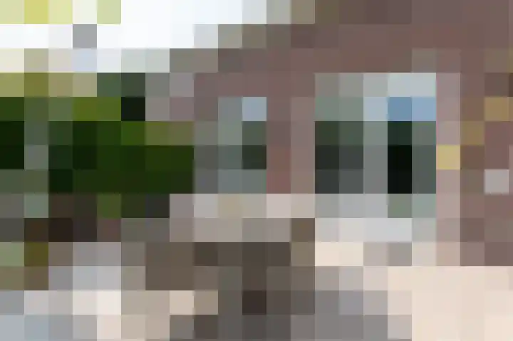 Goudensteinallee 1 Duiven thumbnail 64