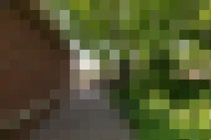 Goudensteinallee 1 Duiven thumbnail 65