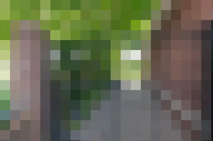 Goudensteinallee 1 Duiven thumbnail 66