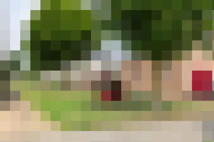 Goudensteinallee 1 Duiven thumbnail 76