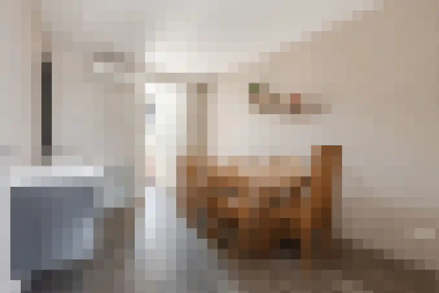 Goudensteinallee 10 Duiven thumbnail 21