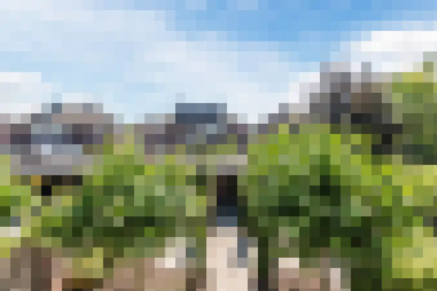 Goudensteinallee 10 Duiven thumbnail 29