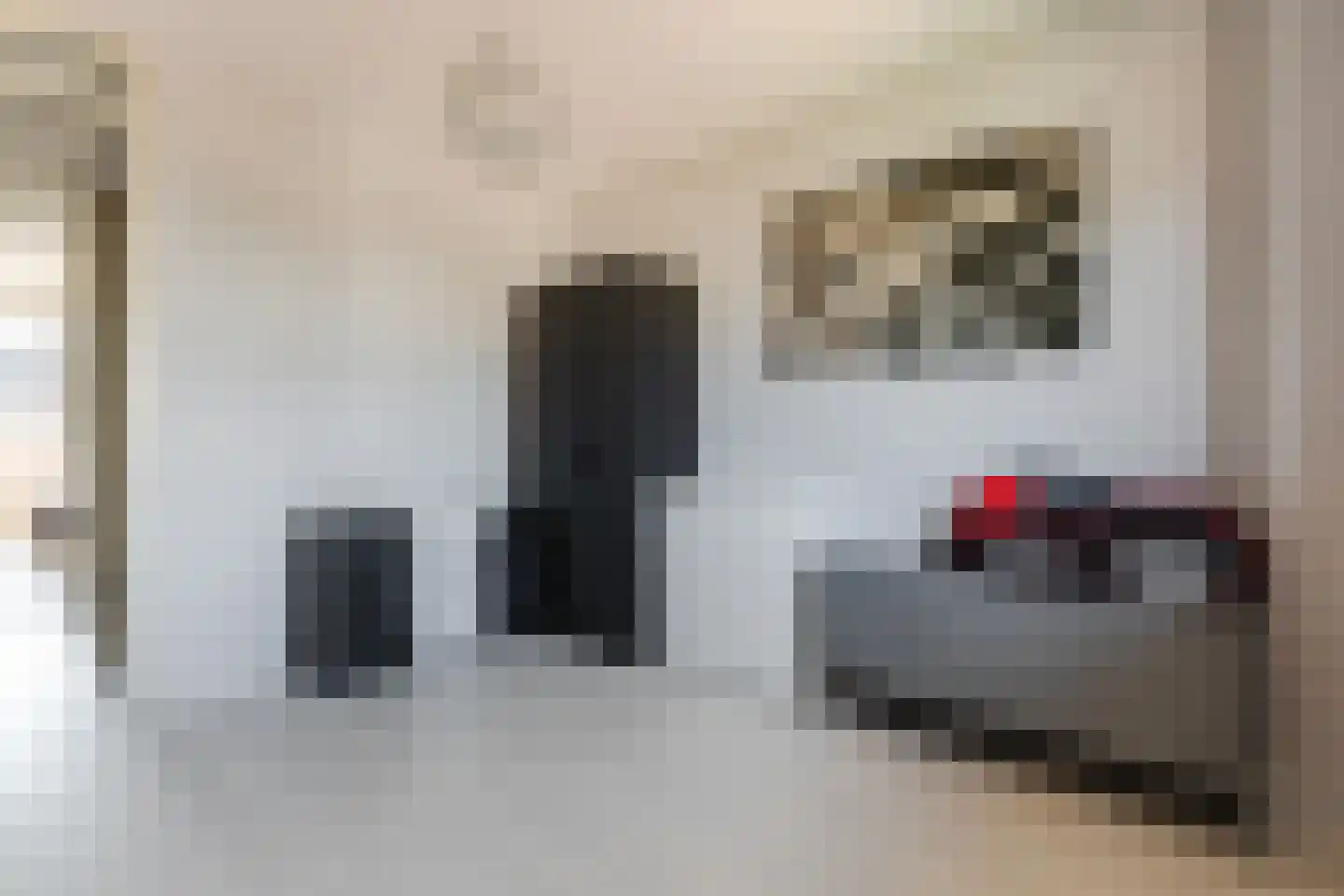 Goudensteinallee 10 Duiven thumbnail 33
