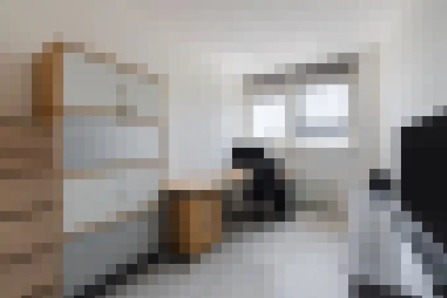 Goudensteinallee 10 Duiven thumbnail 35