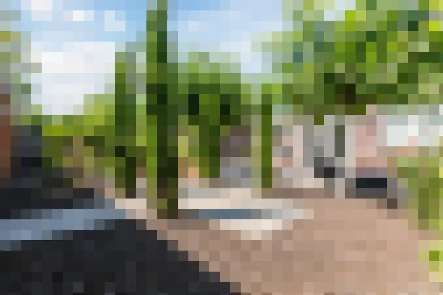Goudensteinallee 10 Duiven thumbnail 4