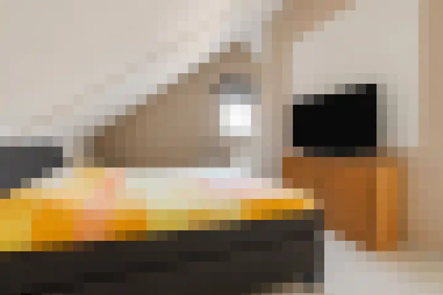 Goudensteinallee 10 Duiven thumbnail 46
