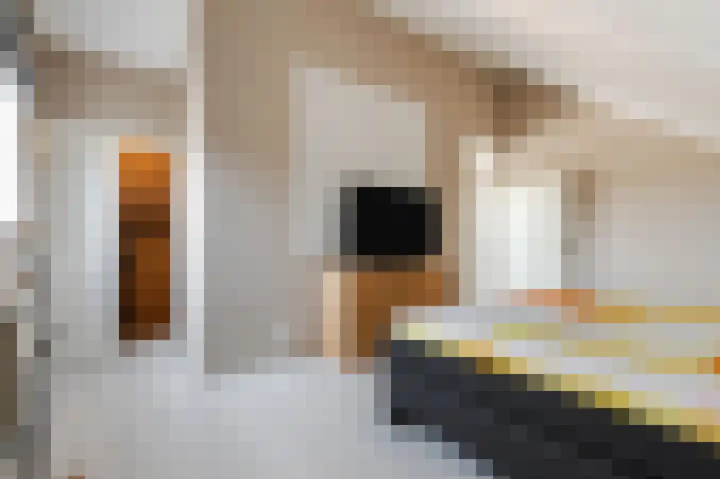 Goudensteinallee 10 Duiven thumbnail 47
