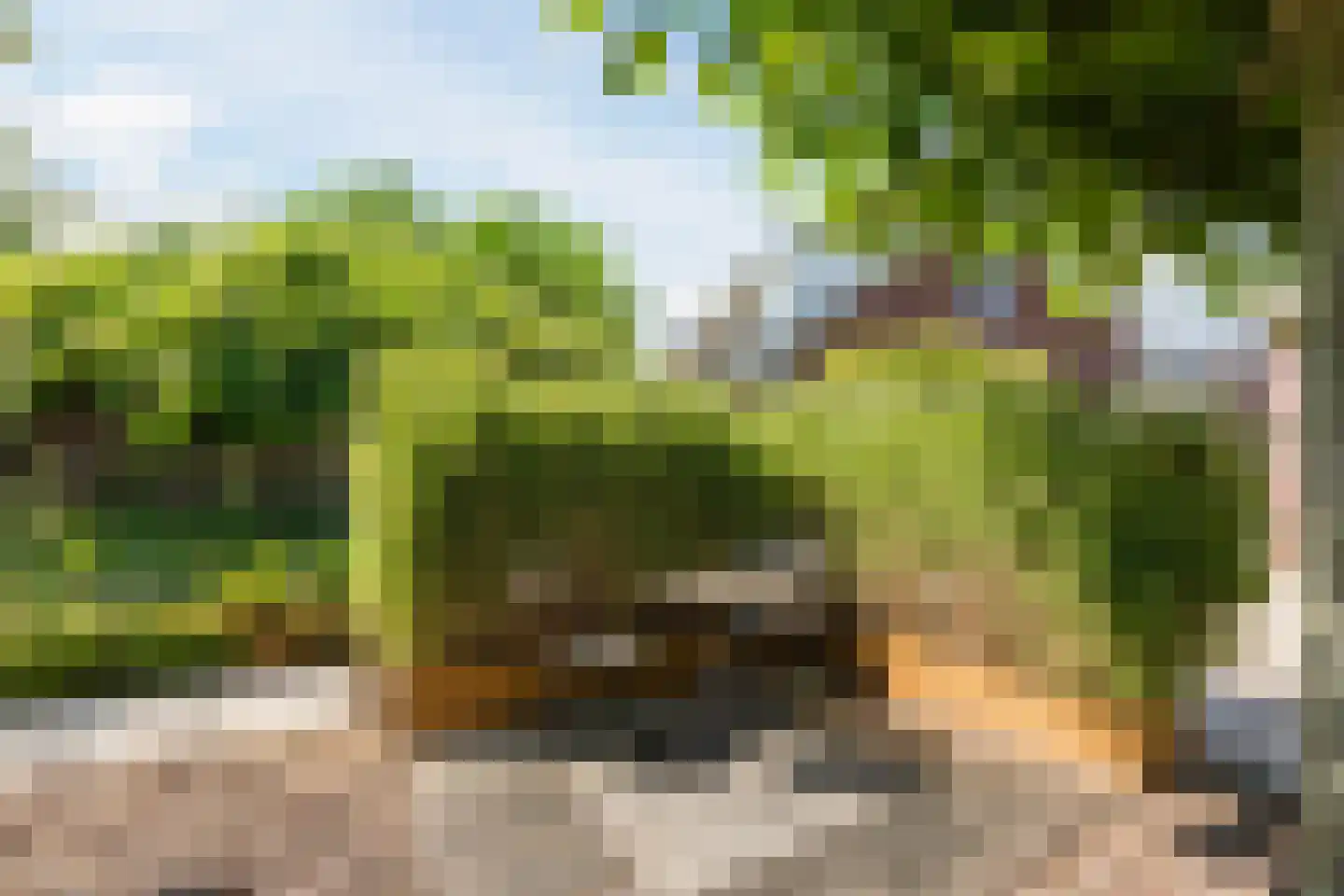 Goudensteinallee 10 Duiven thumbnail 58