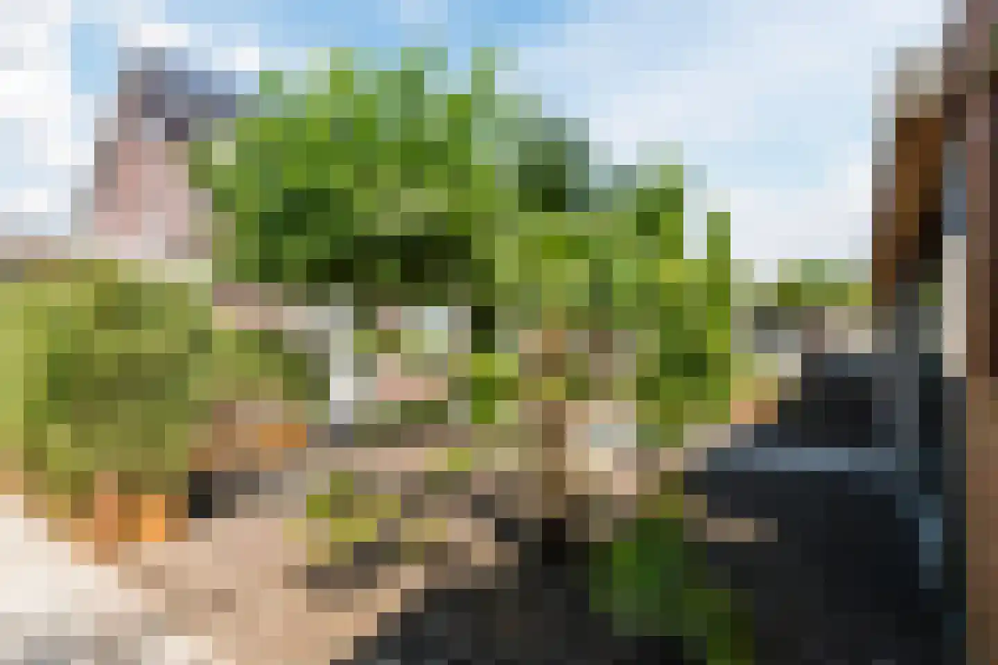 Goudensteinallee 10 Duiven thumbnail 61