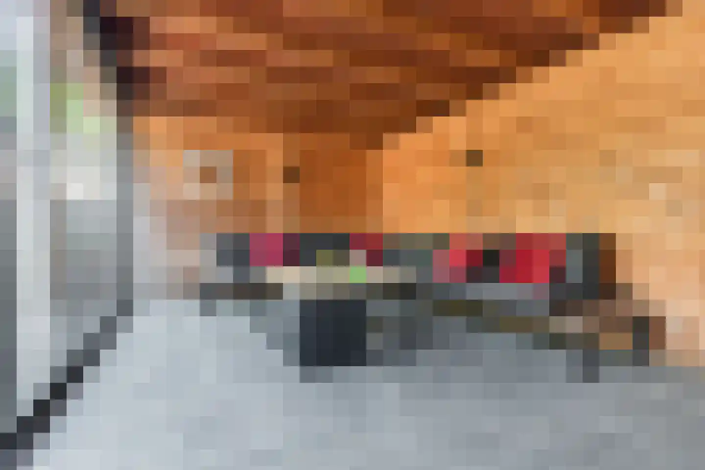 Goudensteinallee 10 Duiven thumbnail 63