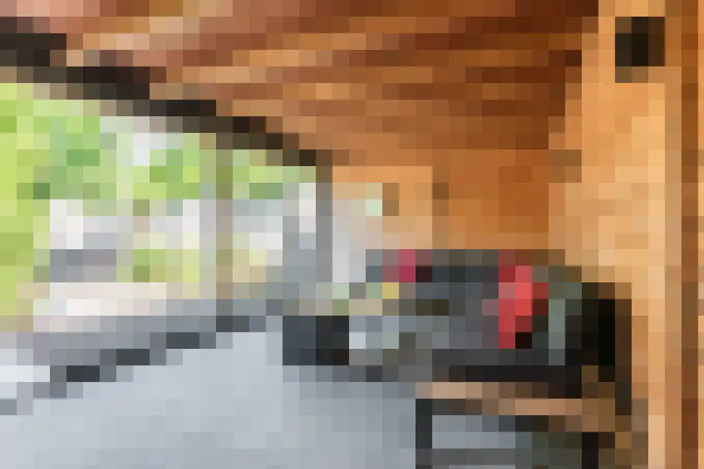 Goudensteinallee 10 Duiven thumbnail 64