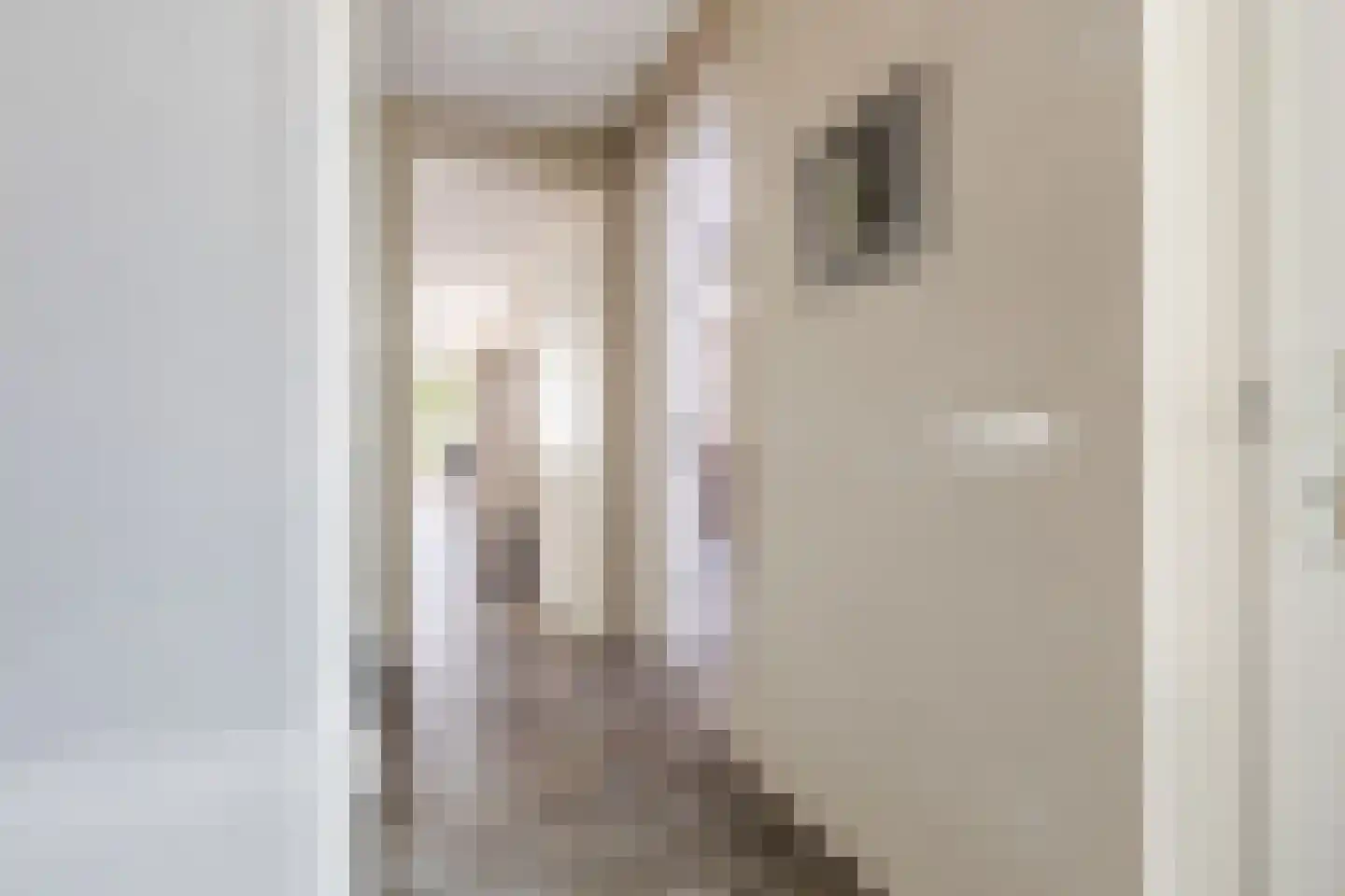 Goudensteinallee 10 Duiven thumbnail 9