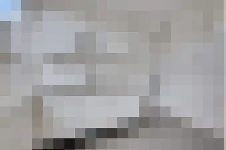 Goudensteinstraat 7 Arnhem thumbnail 18