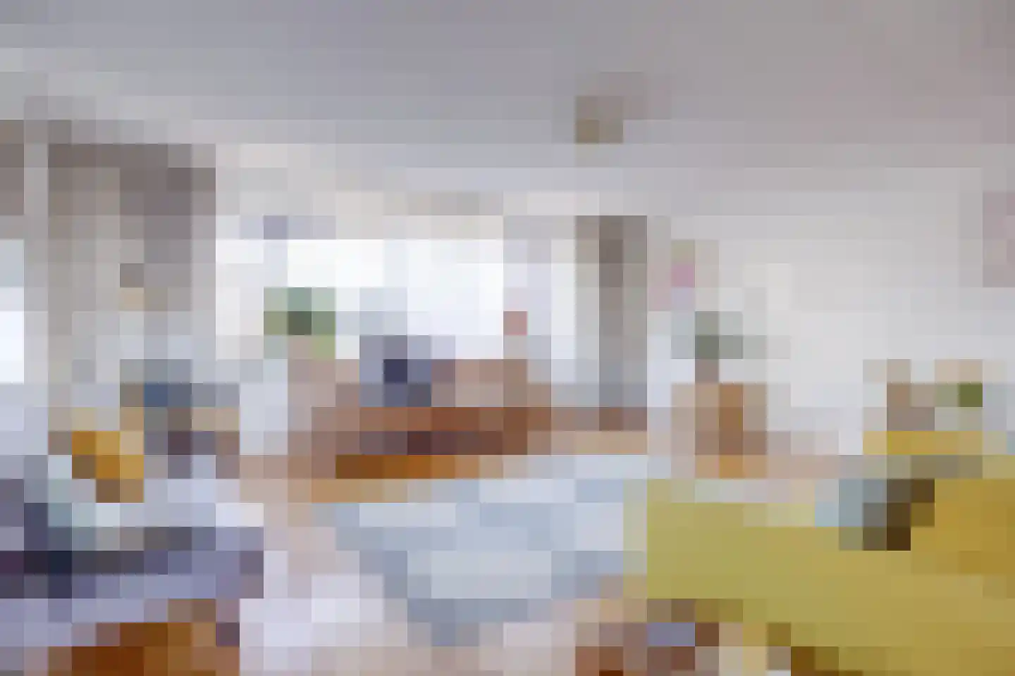 Gouderaklaan 22 Utrecht thumbnail 15