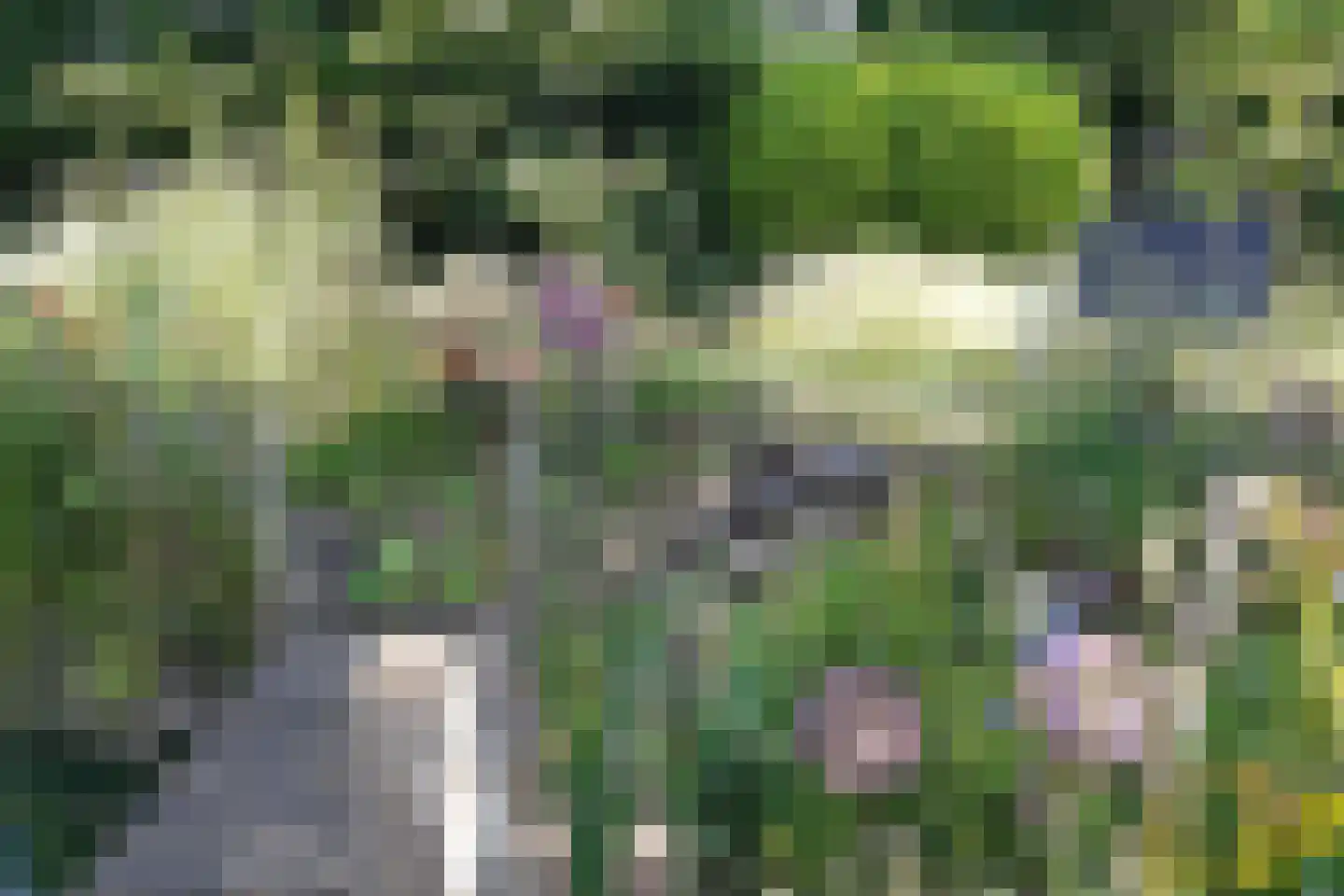 Gouderaklaan 22 Utrecht thumbnail 33