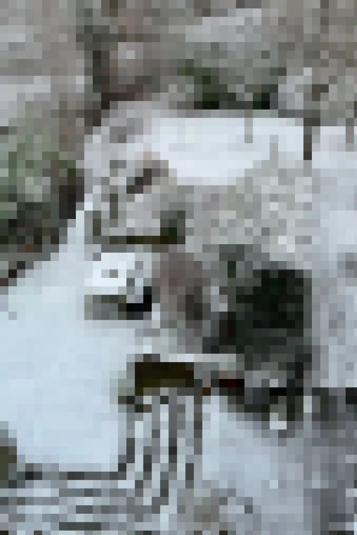 Gouderaklaan 22 Utrecht thumbnail 41