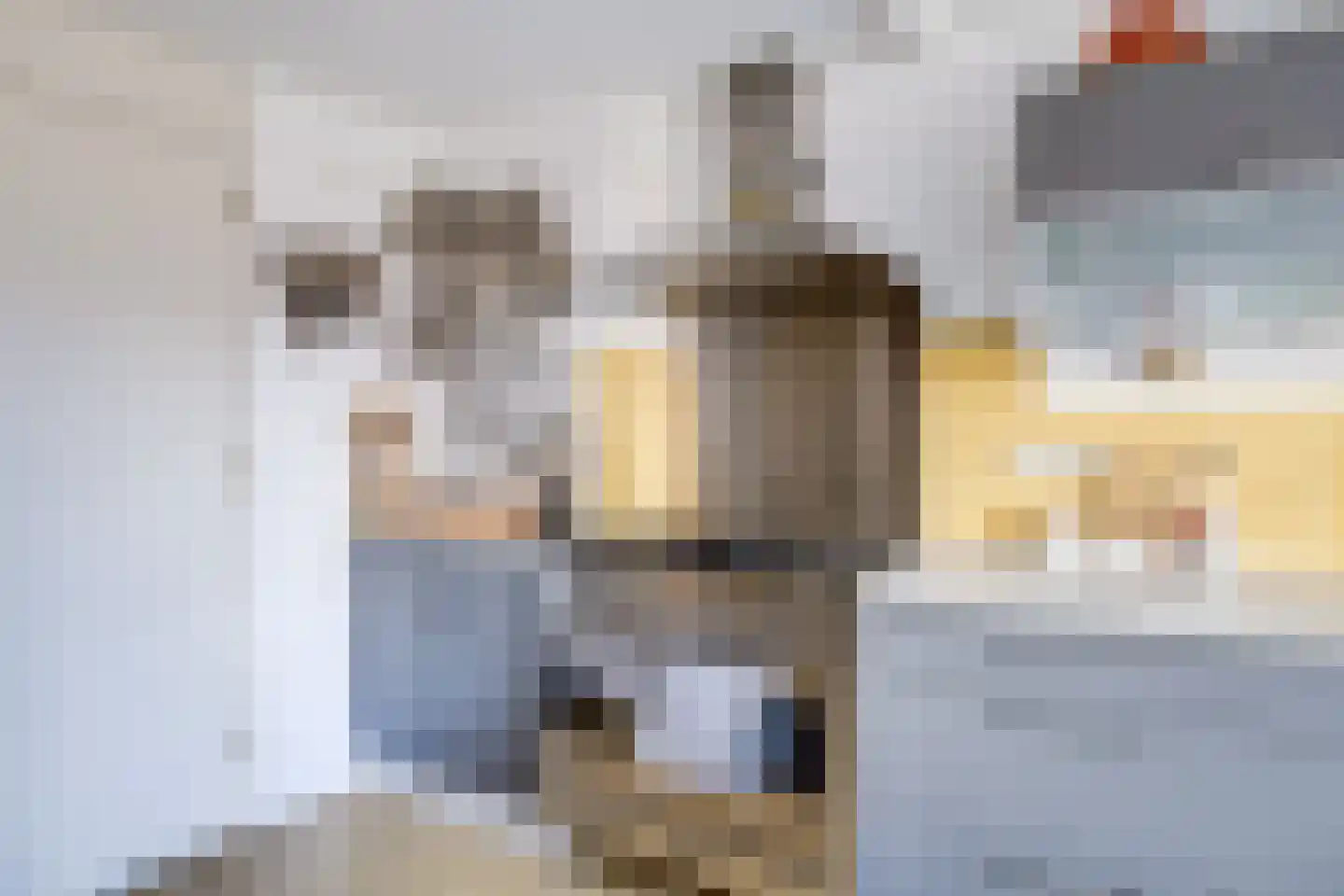 Gouderaklaan 22 Utrecht thumbnail 8