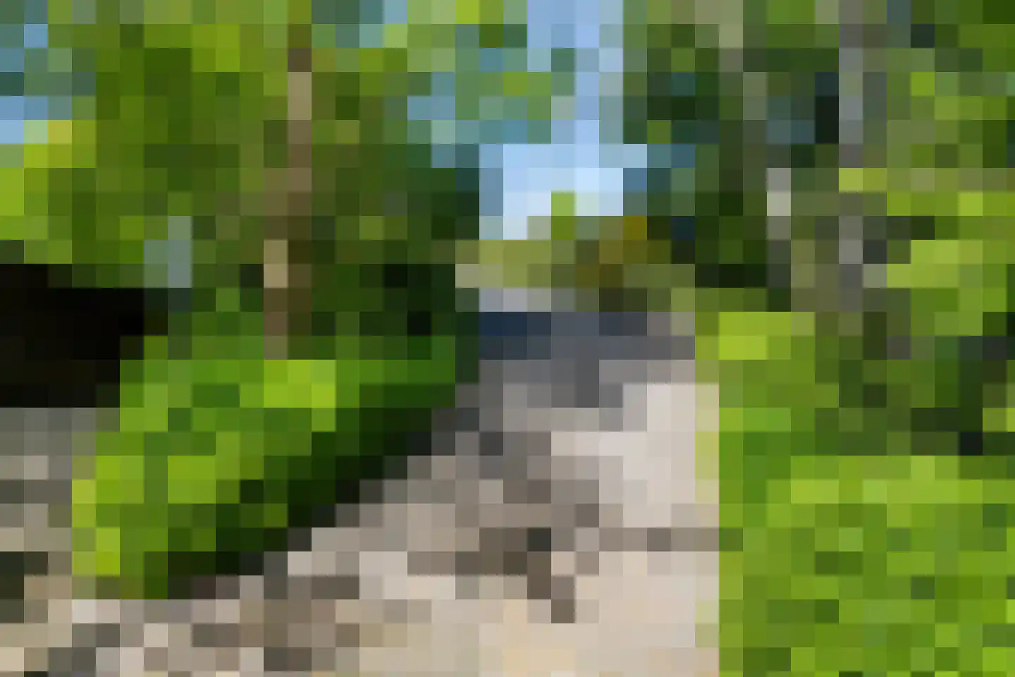 Gouderaksedijk 97 Gouda thumbnail 11
