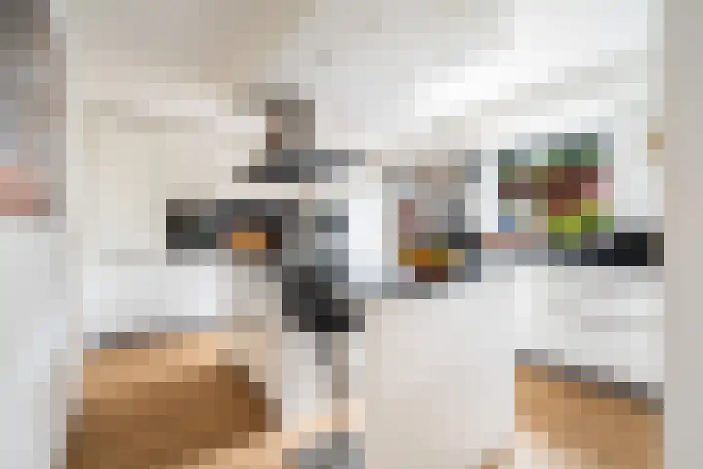 Gouderakstraat 25 Zoetermeer thumbnail 14